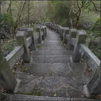 Stone staircase climbing through the forest in West Hill Scenic Area.