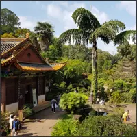 Traditional temple buildings surrounded by lush gardens and palm trees.