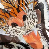 Artwork depicting a tiger's face created from arranged butterfly wings.