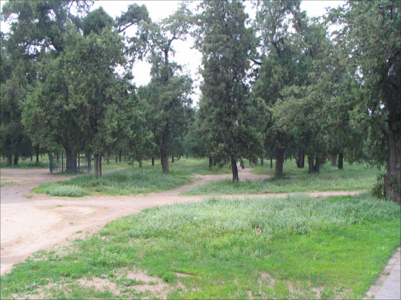 Park around Temple of Heaven