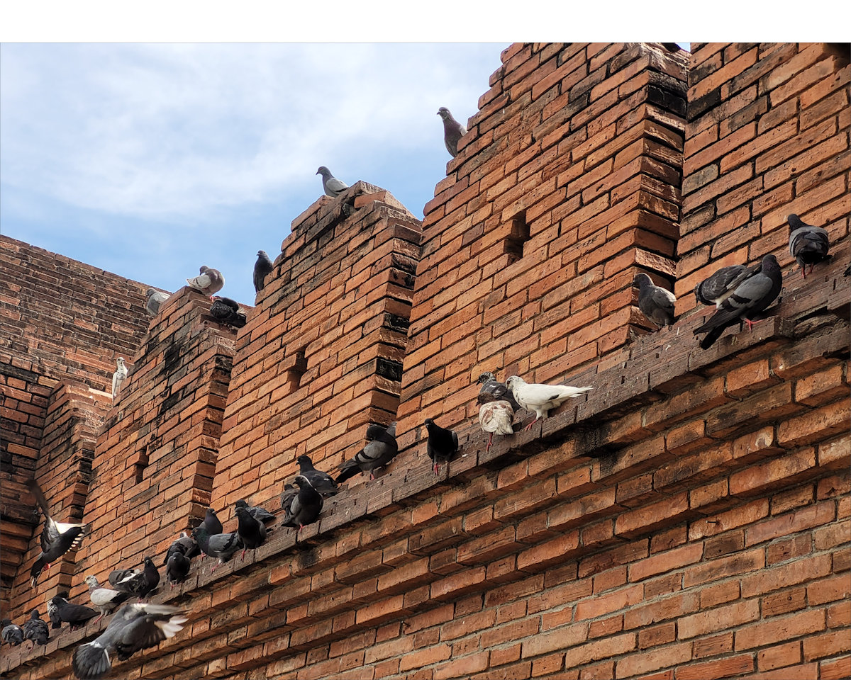 Tha Phae Gate, Chiang Mai