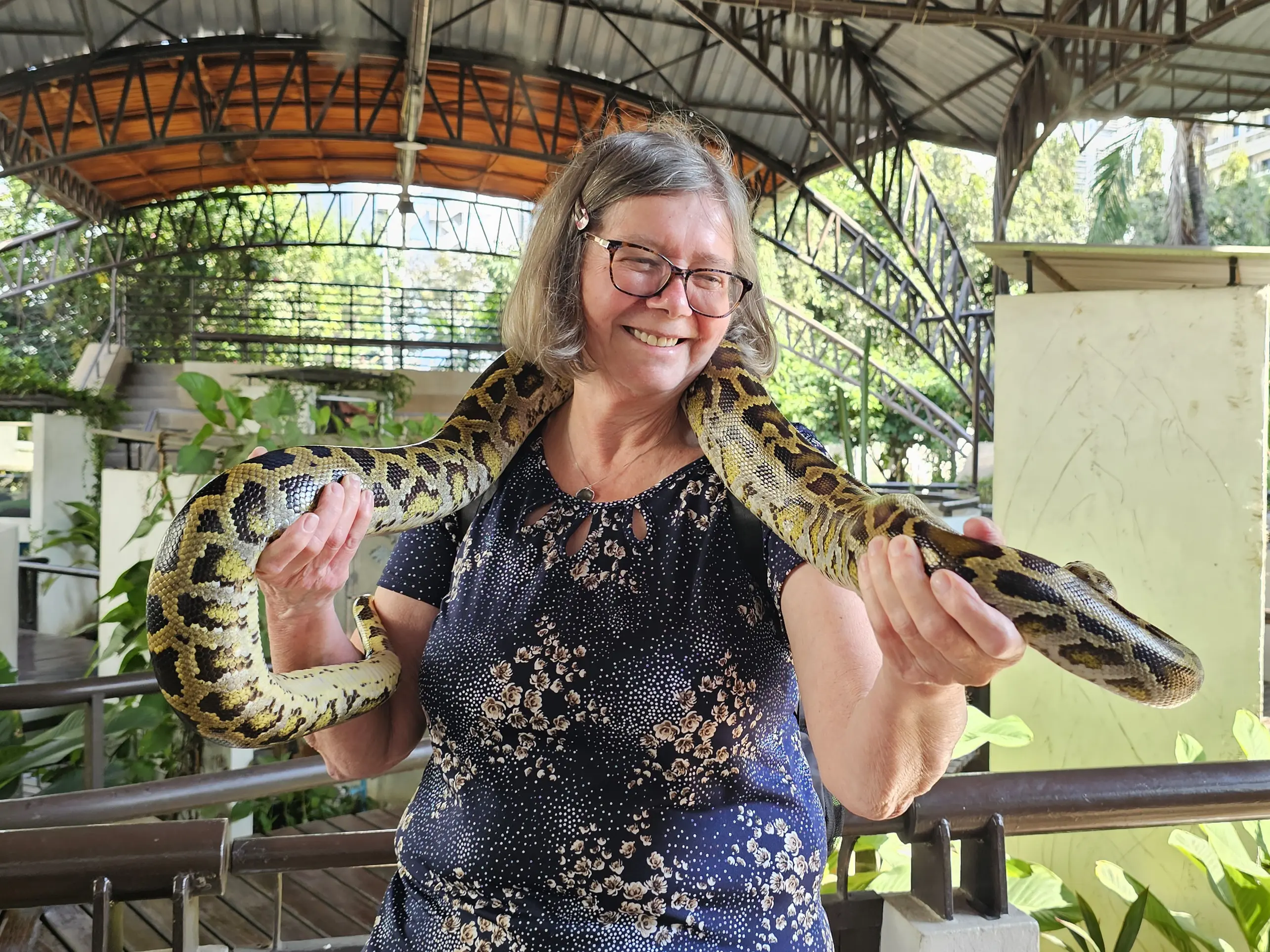 Python works