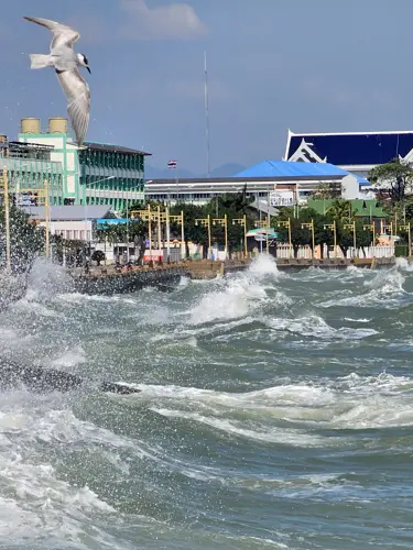 Crashing waves